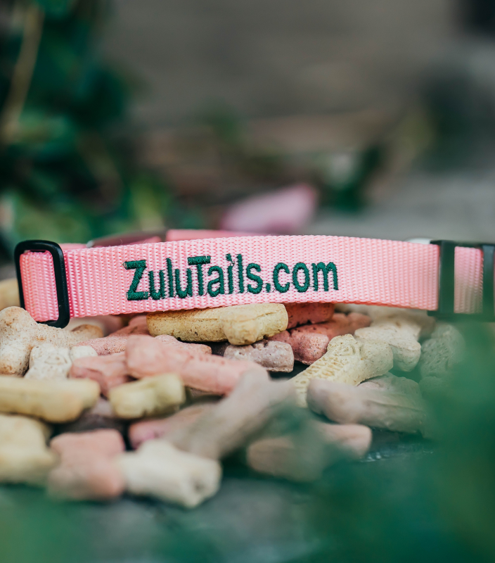 ZuluTails Collar ®