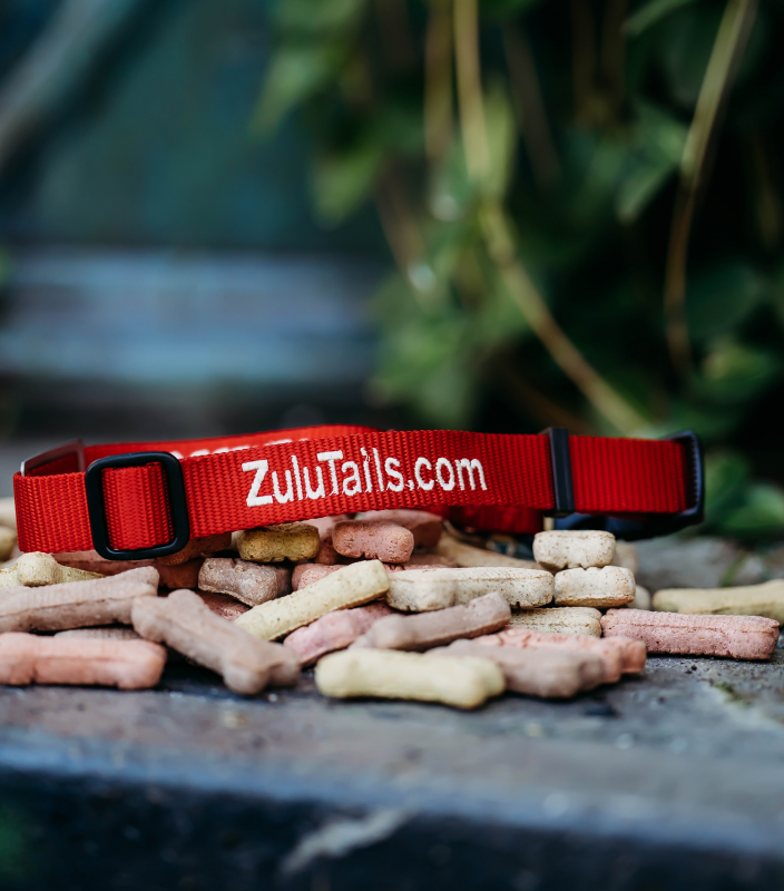 ZuluTails Collar ®
